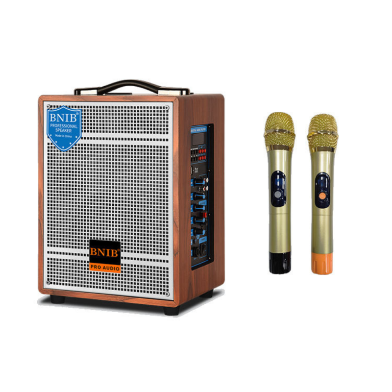 Speaker with Karaoke function 300watt + BLUETOOTH + 2 wireless microphones 6.5” (inches)